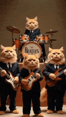 four cats dressed up as the beatles are playing guitars and drums