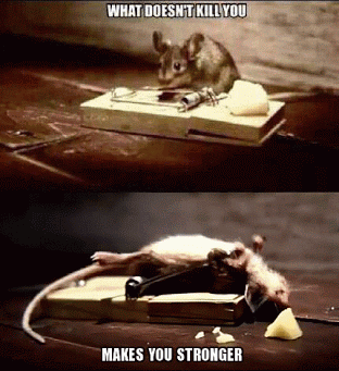 Mighty Mouse GIF - What Doesnt Kill You Makes You Stronger Lifting GIFs