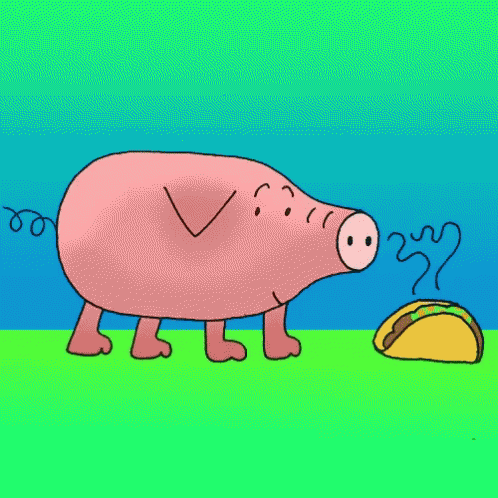 Taco Pig GIF - Taco Pig Smell GIFs