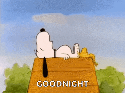 snoopy and woodstock are laying on top of a wooden house and saying goodnight .