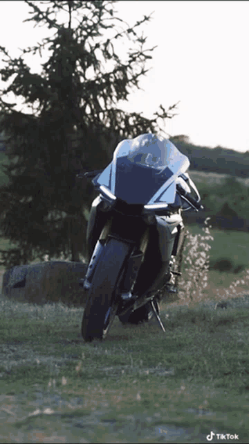 a motorcycle is parked in a grassy field with a tree in the background and a tiktok watermark