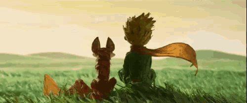 a little boy and a fox are sitting in a field looking at the sky .
