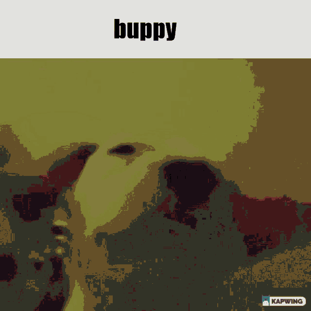 Dog Buppy GIF - Dog Buppy Dog Jammin GIFs