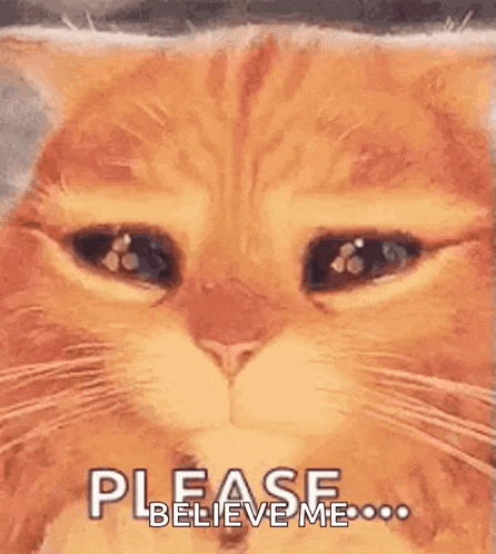 a close up of a cat 's face with its eyes closed and the words `` please believe me '' written below it .