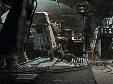 a man sits in a chair with a cat looking at him