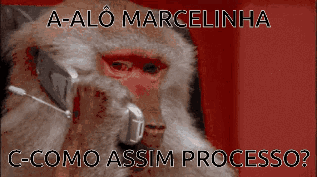 Lemos Processo GIF - Lemos Processo Marcelinha GIFs
