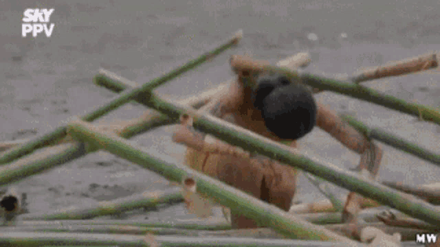 a person is standing in a pile of bamboo sticks with the words sky ppv on the bottom