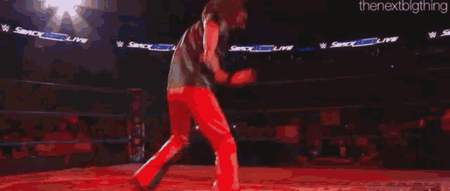 a wrestler in a wrestling ring with the nextbclothing written on the bottom