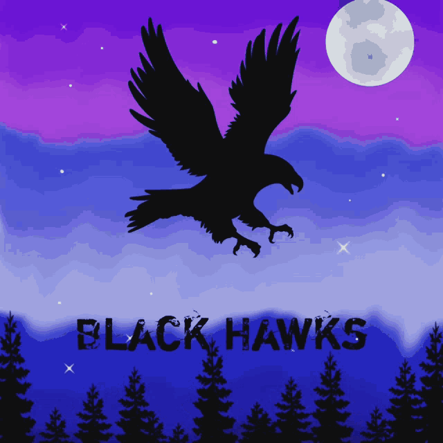 Blackhawks GIF - Blackhawks GIFs