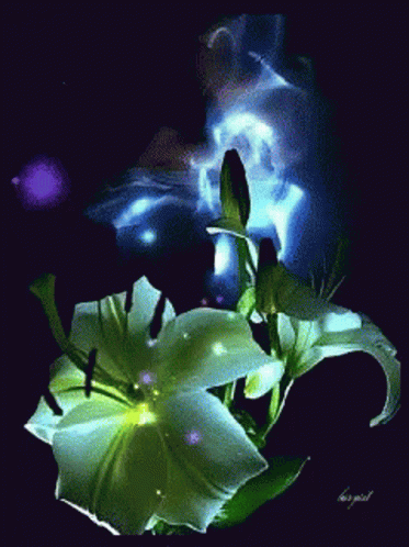 Flor Flower GIF - Flor Flower Shiny GIFs