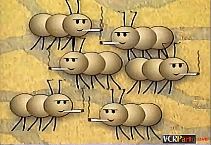 Found Footage Festival Vcr Party Live GIF - Found Footage Festival Vcr Party Live Ants GIFs