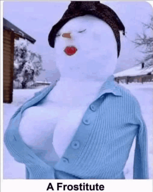 a snowman is wearing a blue sweater and a hat with the words a prostitute below it