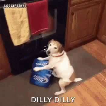 Dilly Dog GIF - Dilly Dog No GIFs
