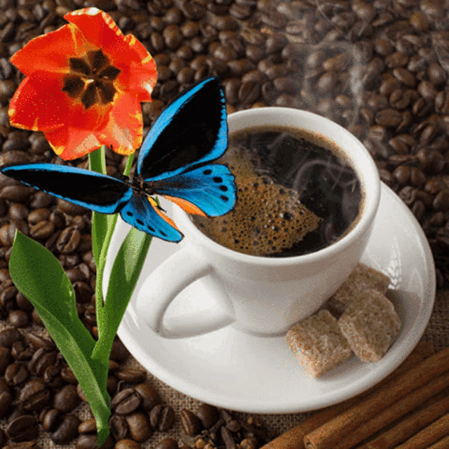 a cup of coffee with a blue butterfly on top of it
