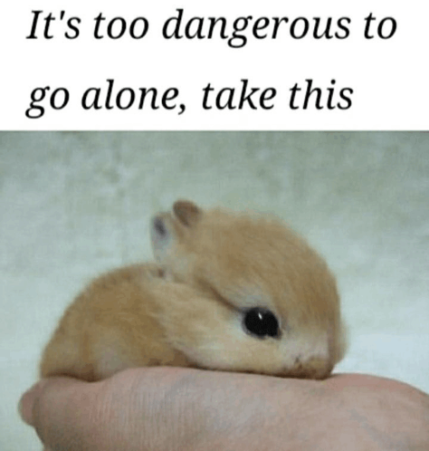 a small rabbit is being held in someone 's hand with a caption that says it 's too dangerous