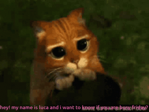 My Name Is Luca Are You Busy Friday GIF - My Name Is Luca Are You Busy Friday GIFs