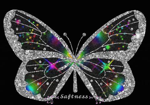 a butterfly with a black background and the word softness on the bottom
