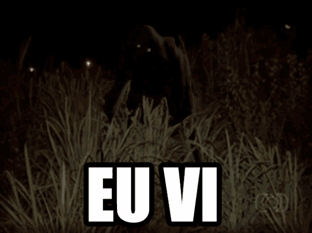 a picture of a monster in the grass with eu vi written on it