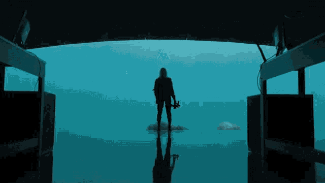 a silhouette of a person standing in the water holding a gun