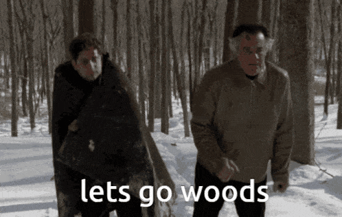 two men walking through a snowy forest with the words let 's go woods above them