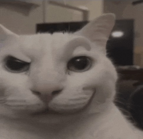 a close up of a white cat with a smile on its face