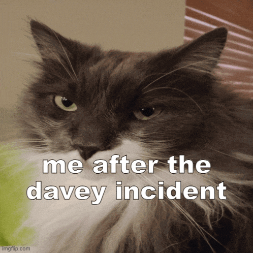 a cat with the words me after the davey incident on the bottom