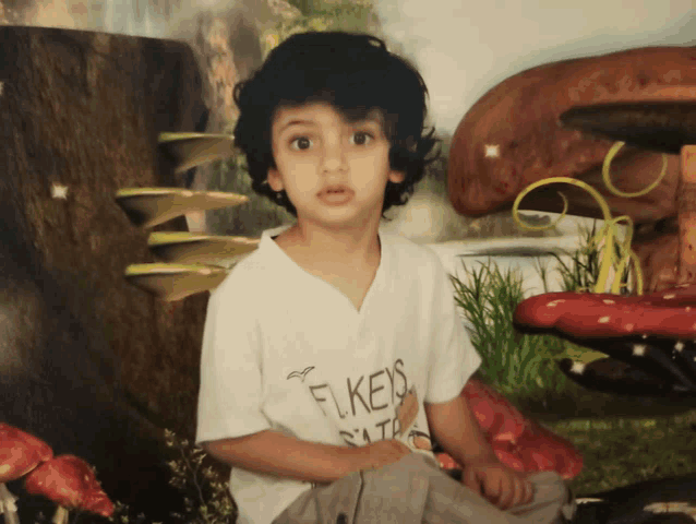 a young boy wearing a shirt that says " flies "