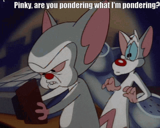 Pinky And The Brain Animaniacs GIF - Pinky And The Brain Animaniacs Pondering GIFs