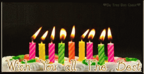Happy Birthday Candles GIF - Happy Birthday Candles Wish You All The Best GIFs