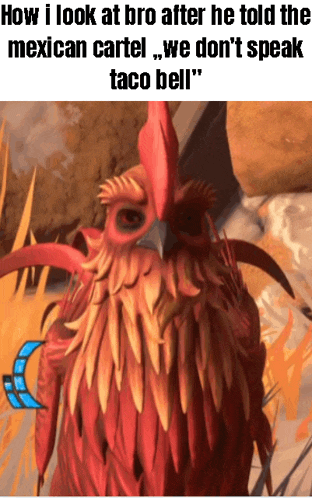 a picture of a rooster with the caption " how i look at bro after he told the mexican cartel