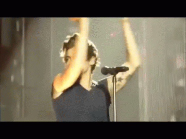 Harry! GIF - Harry Styles Clapping Concert GIFs