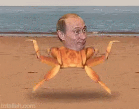 Putin Vladimirputin GIF - Putin Vladimirputin Crab GIFs