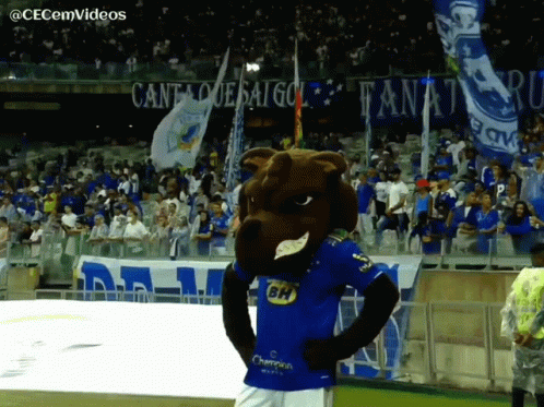 Cecemvideos Cruzeiro GIF - Cecemvideos Cruzeiro Raposão GIFs