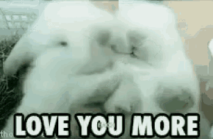 a couple of white rabbits laying next to each other and the words `` love you more '' .