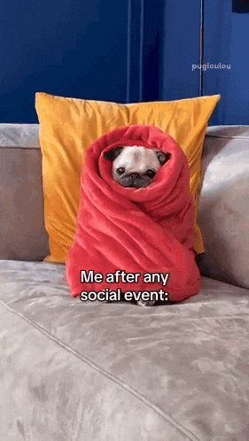 a pug wrapped in a red blanket is sitting on a couch