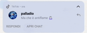 a screenshot of a tiktok page with palladio 's profile
