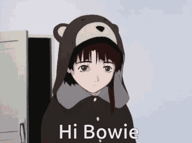 a person wearing a teddy bear hooded jacket says hi bowie
