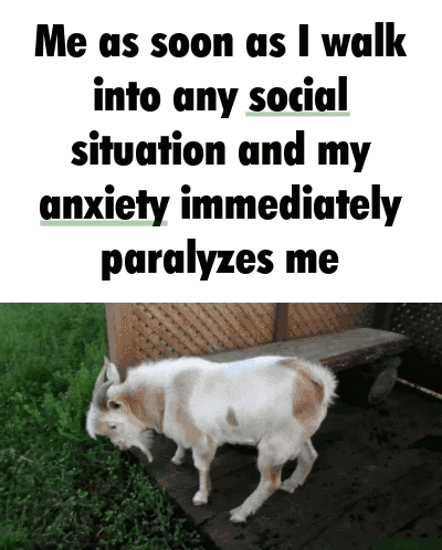 Social Anxiety Paralyzed GIF - Social Anxiety Paralyzed Faint GIFs
