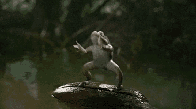 Mg GIF