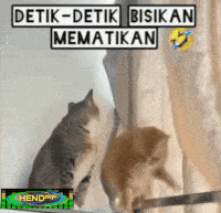 two cats are looking at each other with a sign that says detik-detik bisikan mematikan