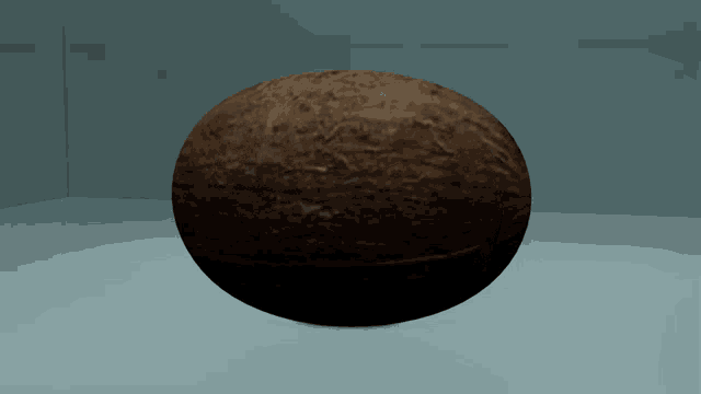 a 3d model of a coconut sitting on a white surface