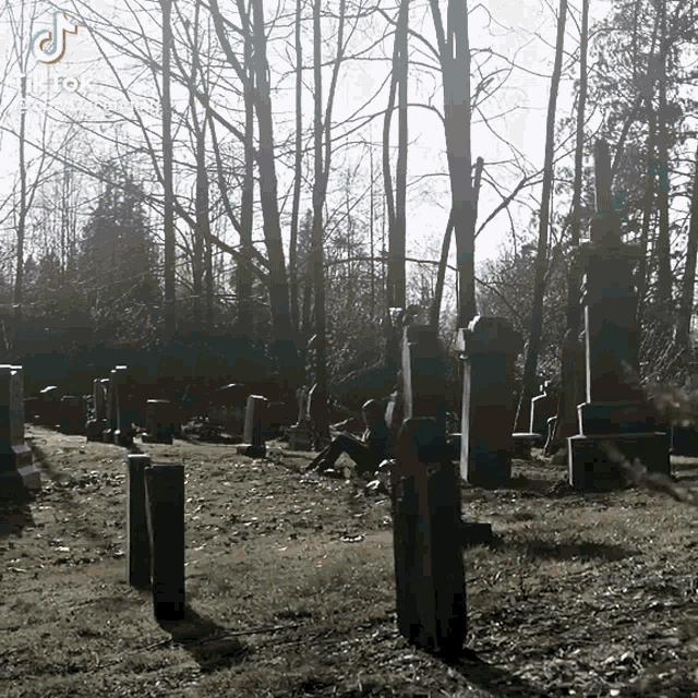 a black and white photo of a cemetery with a tik tok logo in the upper right corner