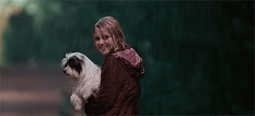 Raining Dog GIF - Raining Dog Puppy GIFs