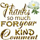 Thank You Thanks So Much For Your Kind Comment GIF