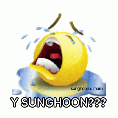 Maruhoon Sunghoon GIF - Maruhoon Sunghoon GIFs