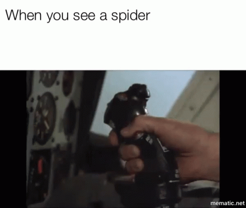 Spider See GIF - Spider See Scary GIFs