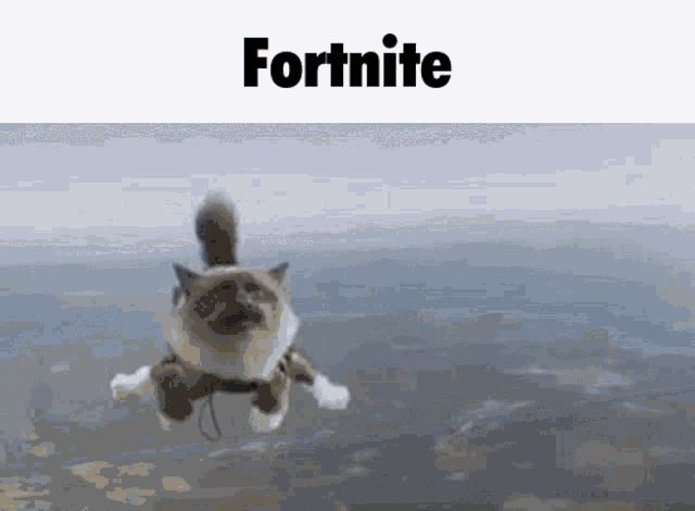 Fortnite Cat GIF - Fortnite Cat Fortnite Cat GIFs