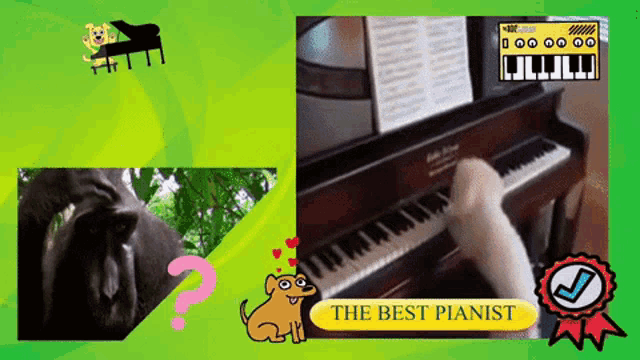 Dogs Play Piano GIF - Dogs Play Piano Best Pianist GIFs
