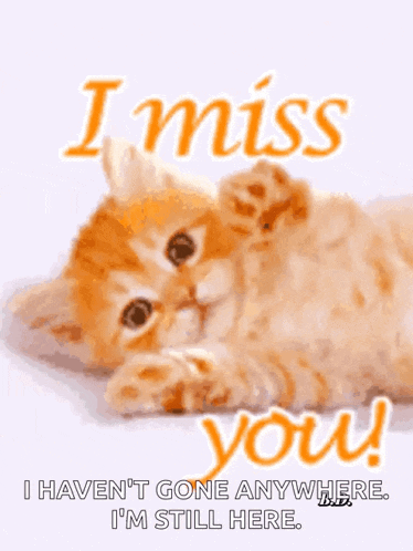 a picture of a cat with the words i miss you