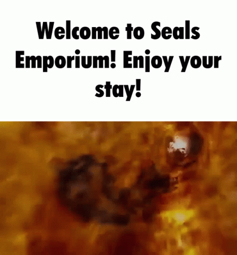 Seals Emporium Hell GIF - Seals Emporium Hell GIFs